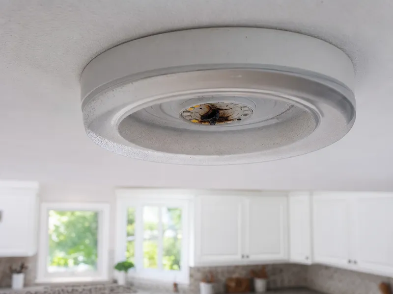 Ceiling light not working