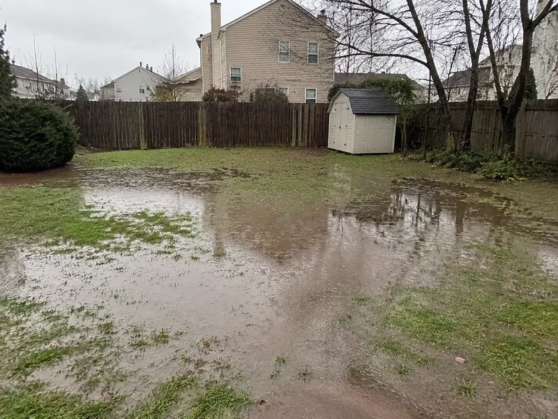 Standing water in yard