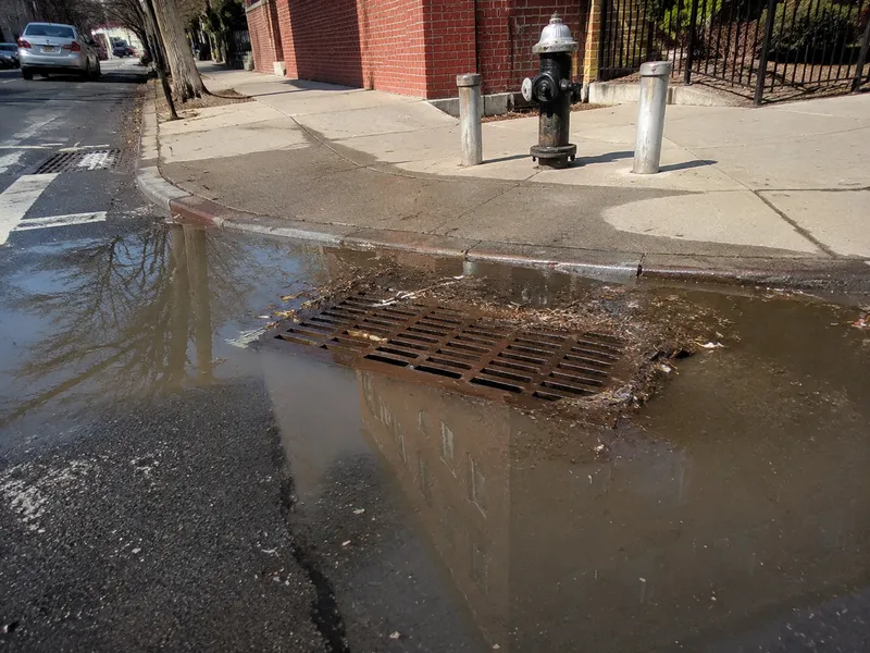 Storm drain blockage