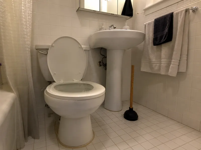 Toilet backup