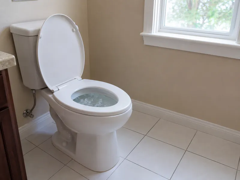 Gurgling toilets