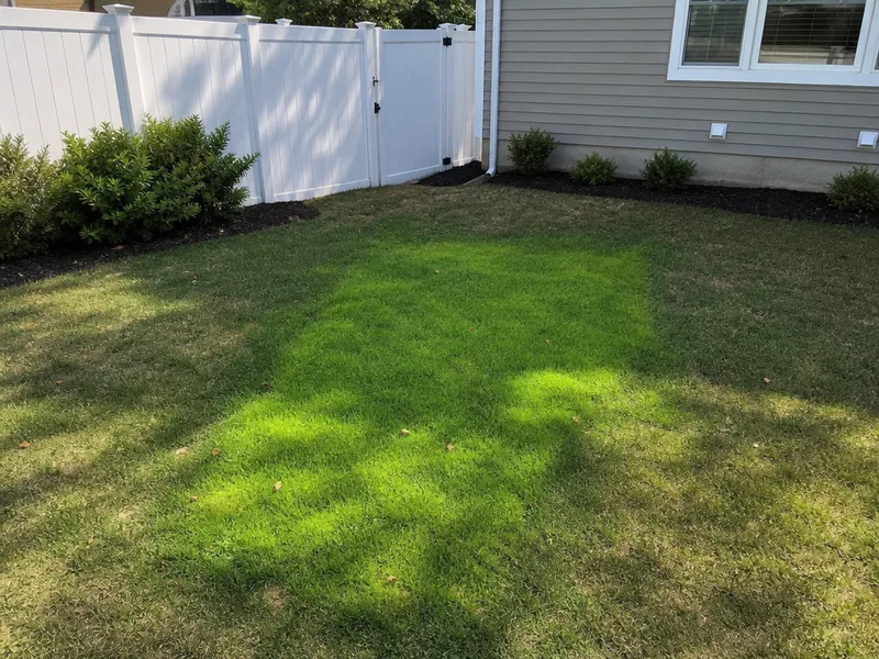 Lush patch in yard (sewer leak)