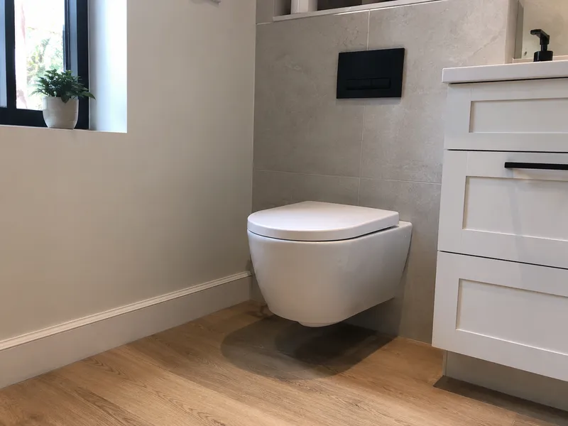 Wall-hung toilet