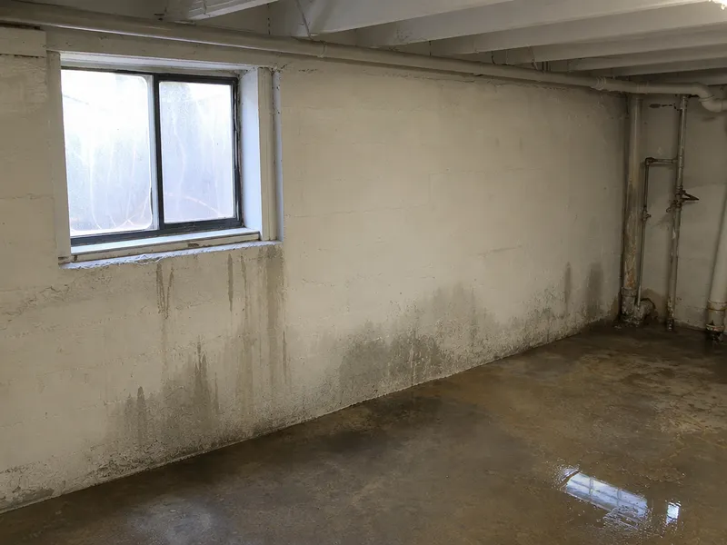 Water seepage through walls