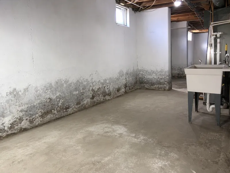 Damp basement walls