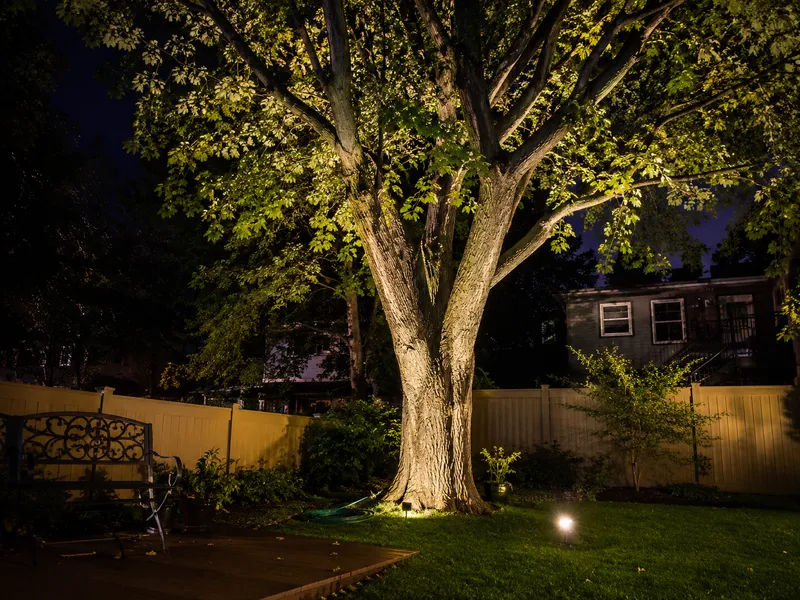 Large Brooklyn garden