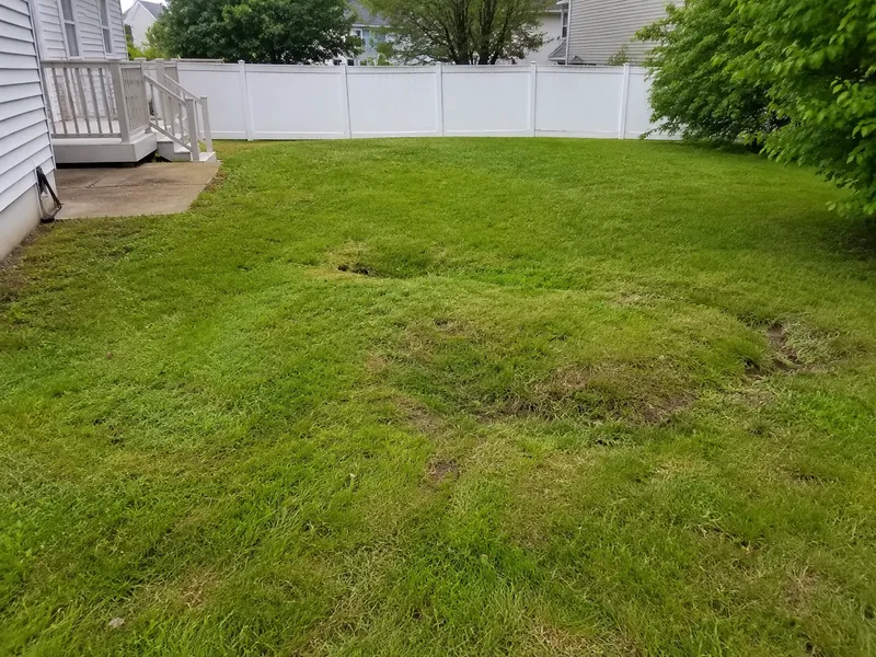 Sewer collapse