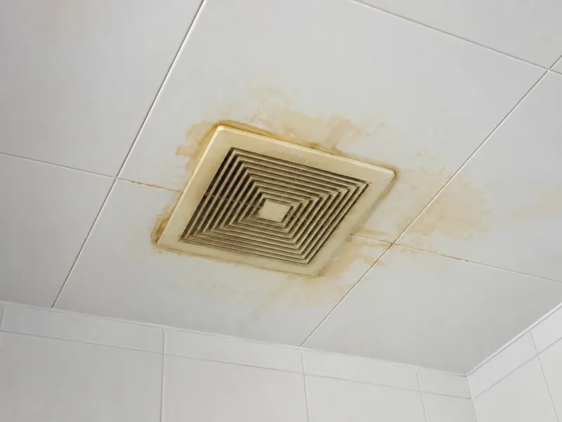 Exhaust vent — backdraft or condensation
